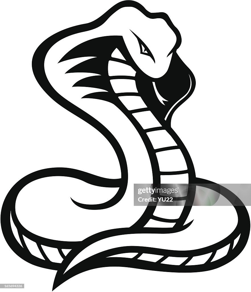 Snake Mascot Bw High-Res Vector Graphic - Getty Images