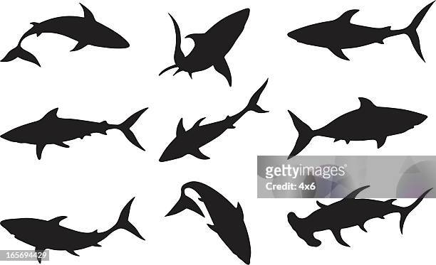 swimming sharks - shark stock illustrations