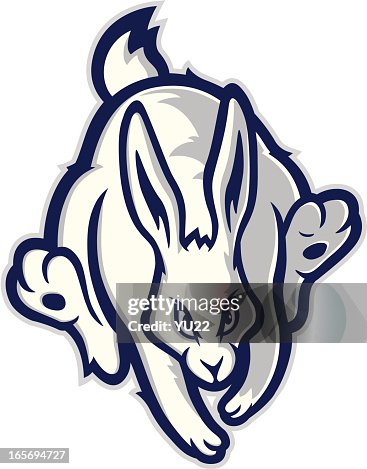Stiker Rabbit Run Running Rabbit Mascot High-Res Vector Graphic - Getty Images