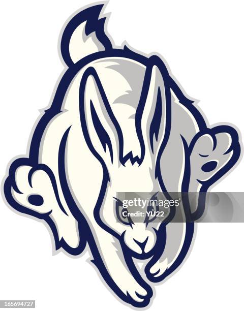 1,062 Rabbit Mascot Stock Photos, High-Res Pictures, and Images - Getty ...