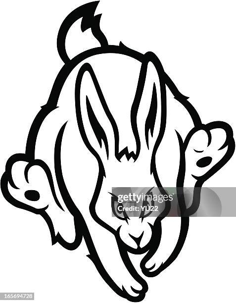 Fierce Rabbit Photos and Premium High Res Pictures - Getty Images