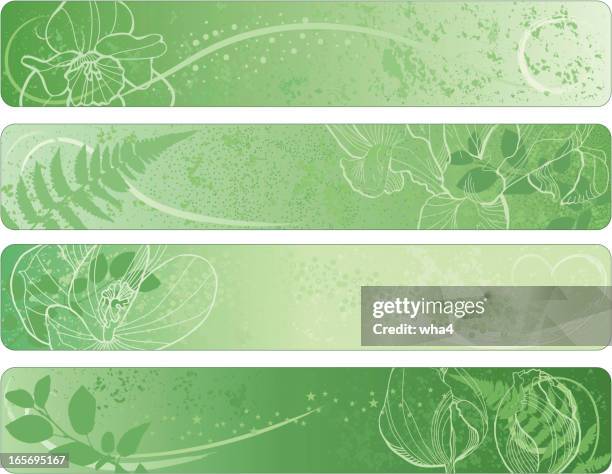 stockillustraties, clipart, cartoons en iconen met spring banners - narcis