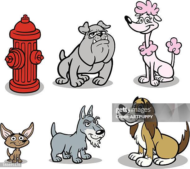 group of dogs - chihuahua stock illustrations