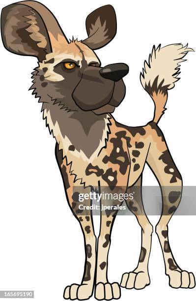 wild dog - african wild dog stock illustrations