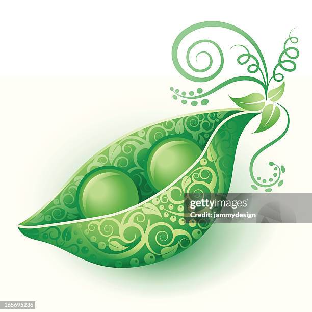two peas in a pod - 2 peas in a pod stock illustrations