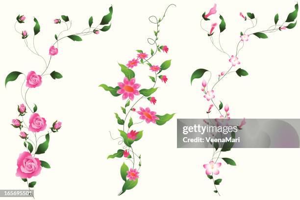 set of vine.. - rose flower 幅插畫檔、美工圖案、卡通及圖標