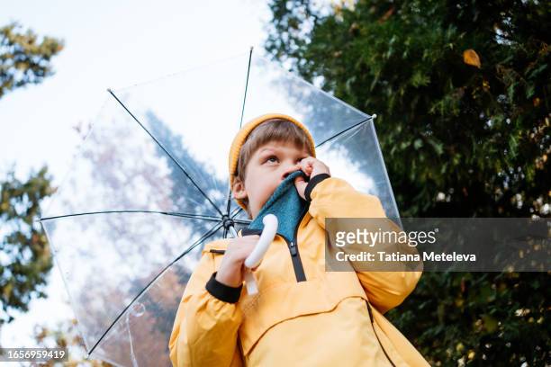 cold season adventure: young boy outdoor journey through the forest, sheltered by transparent umbrella. little boy covering mouth with sweater - luft krank stock-fotos und bilder