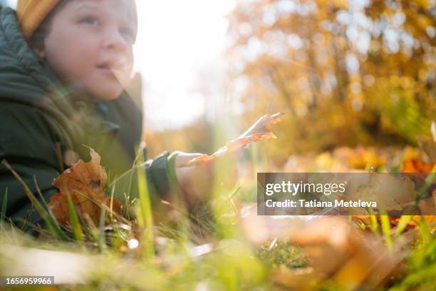 boy and unity with autumn nature: little boy discovering nature while lying on front on autumn leaves and grass in woods. close up. selective rack focus - rack focus stock-fotos und bilder