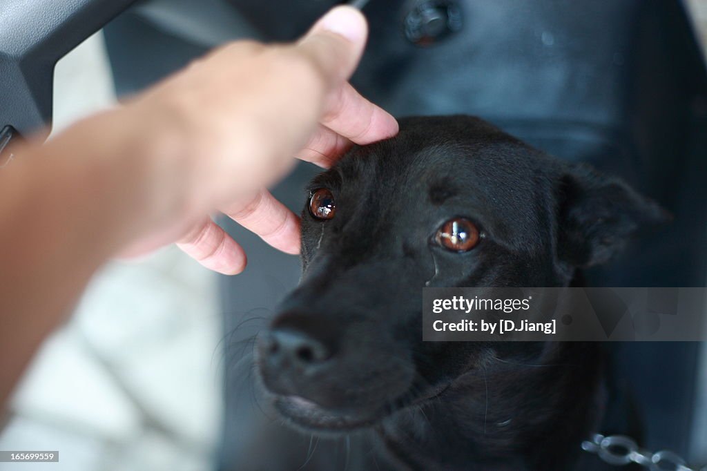Good girl