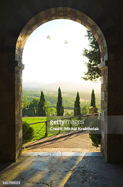 tuscan scene - italian cypress bildbanksfoton och bilder