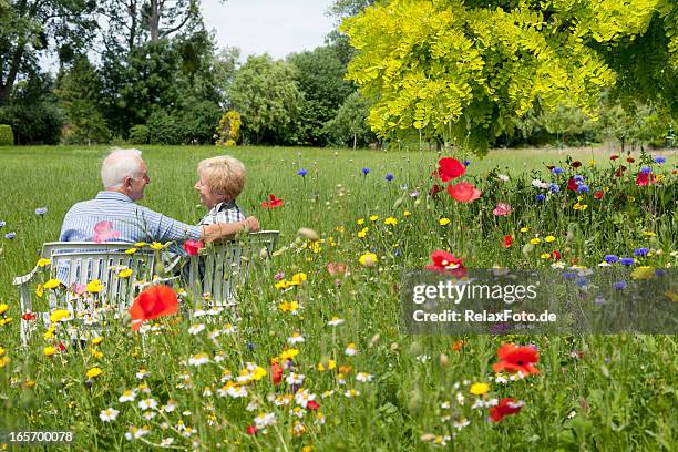 senior couple sitting between flowers in garden - saturated color stock pictures, royalty-free photos & images