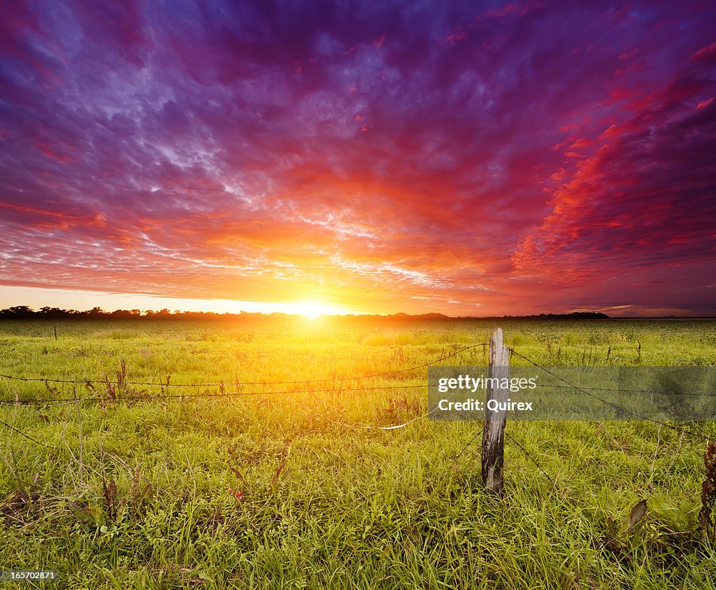 Golden Sunrise over farmland