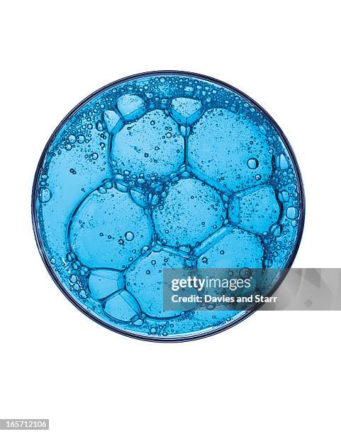 blue soap in petri dish - boîte de pétri photos et images de collection