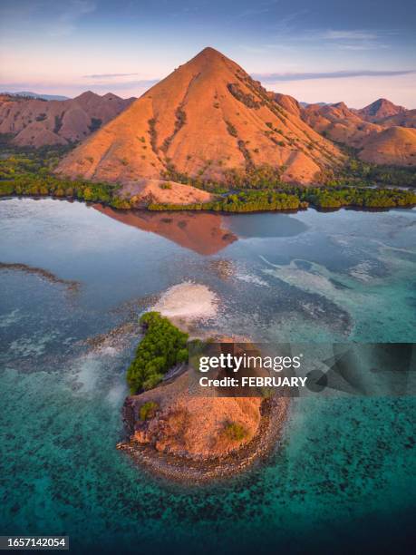 kelor island, indonesia - komodo dragon stock pictures, royalty-free photos & images