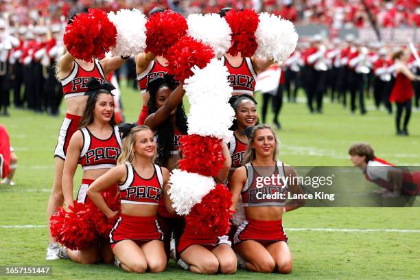 Cheerleaders of the NC State Wolfpack perform during the game against the Notre Dame Fighting Irish at Carter-Finley Stadium on September 9, 2023 in...