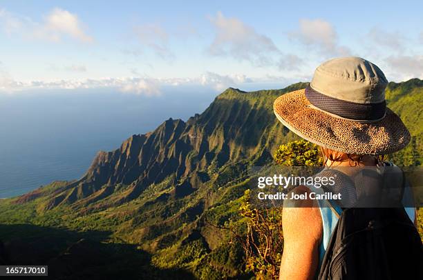 mujer al aire libre mirando a la espectacular vista y el futuro en kauai - woman fresh air fotografías e imágenes de stock