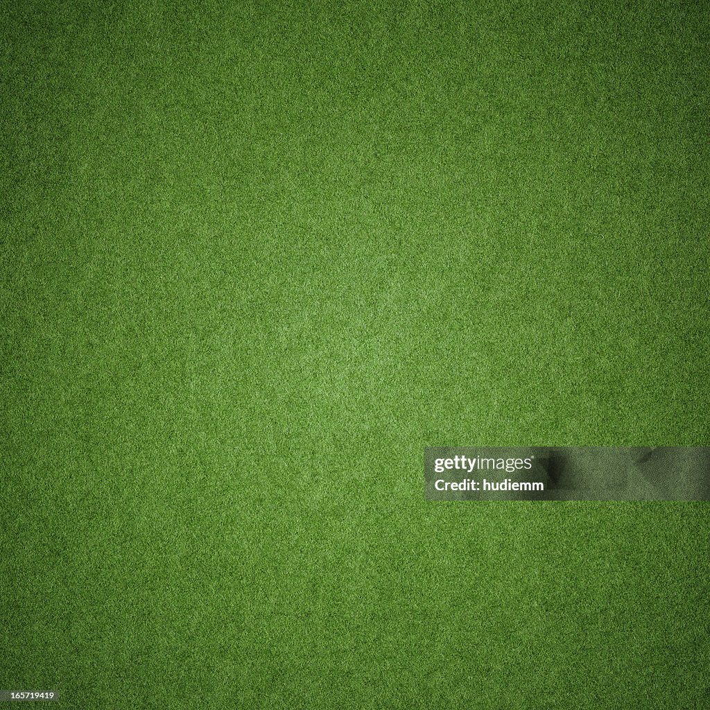 Green grass texture background (XXXL)