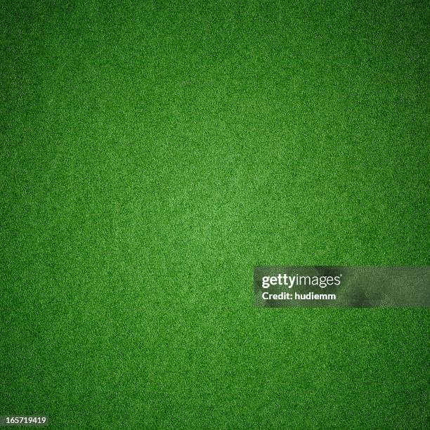 green grass texture background (xxxl) - christmas background green stockfoto's en -beelden