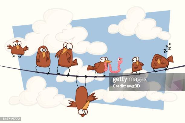 funny birds - telephone line stock illustrations