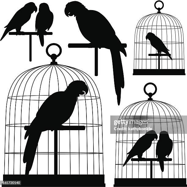 papageien in silhouette - parrot stock-grafiken, -clipart, -cartoons und -symbole