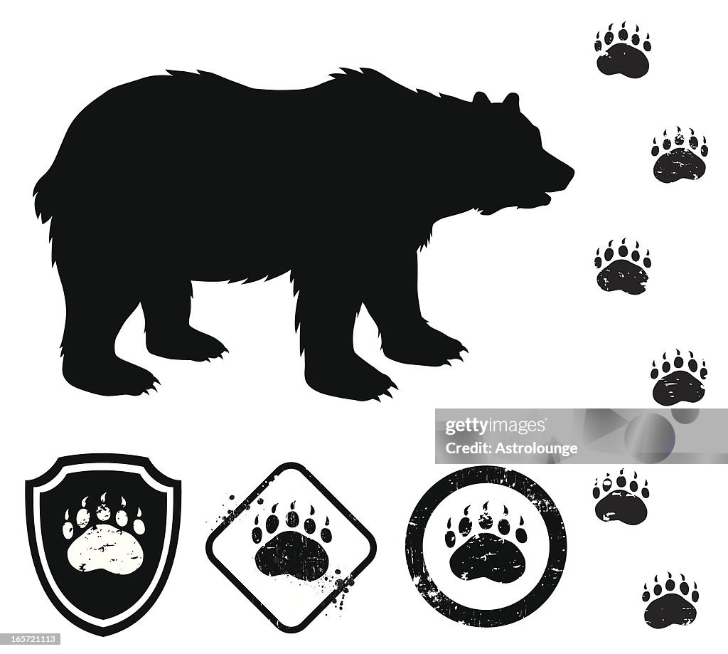 Bear y señales