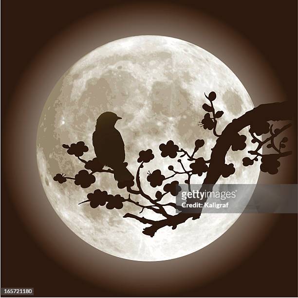 ilustraciones, imágenes clip art, dibujos animados e iconos de stock de flor de la ciruela, full moon y nightingale pájaro - nightingale
