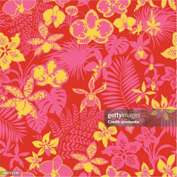 evening orchids - orchids stock illustrations