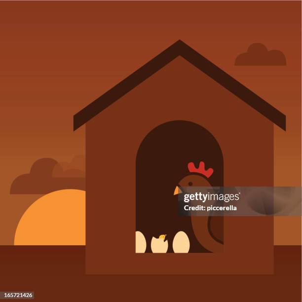 new born chick - chicken coop stock illustrations