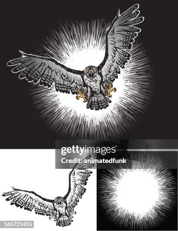 Attack Hawk Attack Hawk