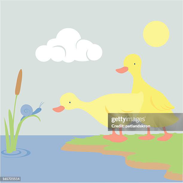 ducklings treffen weinbergschnecke - pond snail stock-grafiken, -clipart, -cartoons und -symbole