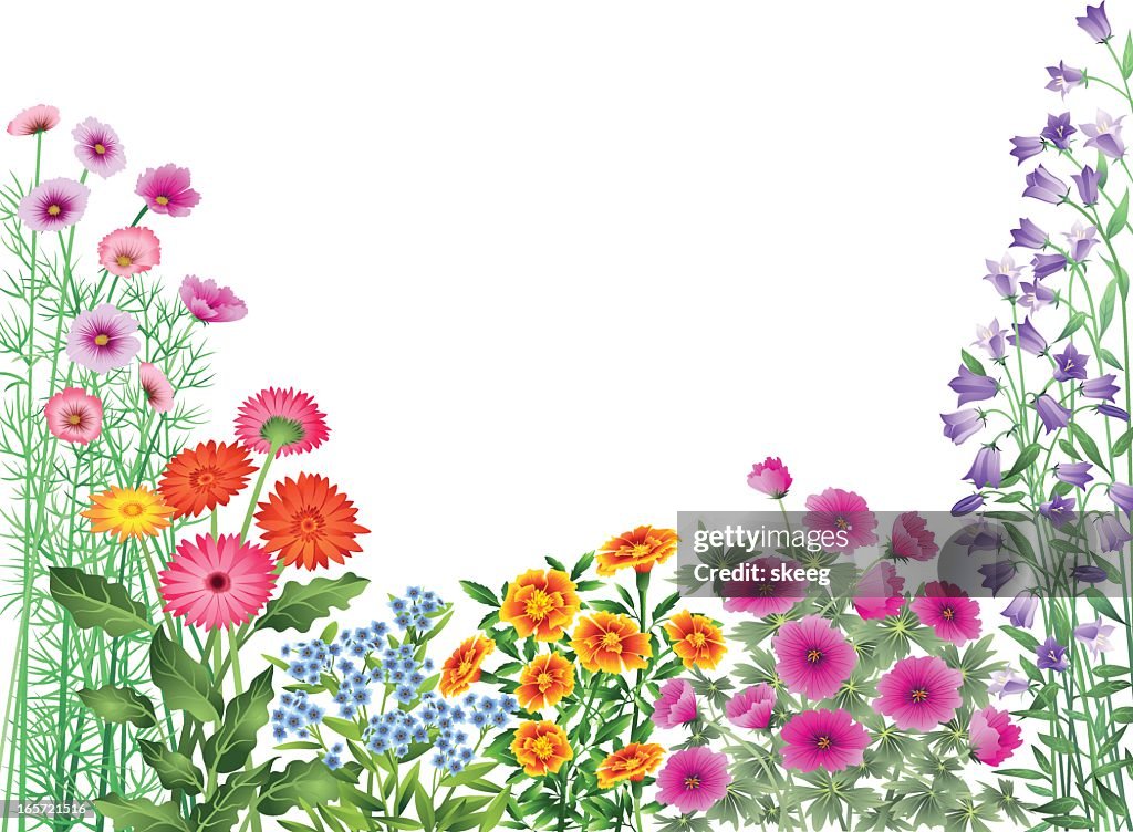 Garten Blumen Grenze
