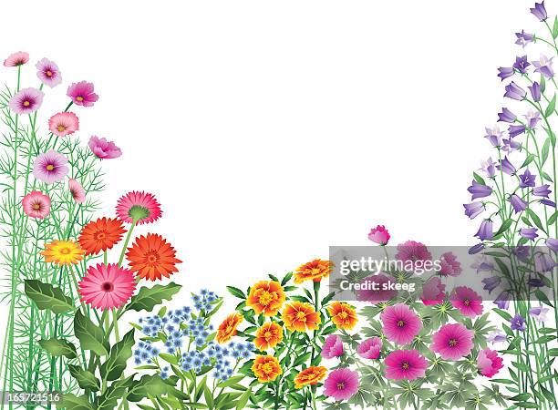 ilustrações, clipart, desenhos animados e ícones de jardim de flores de fronteira - canteiro de flores