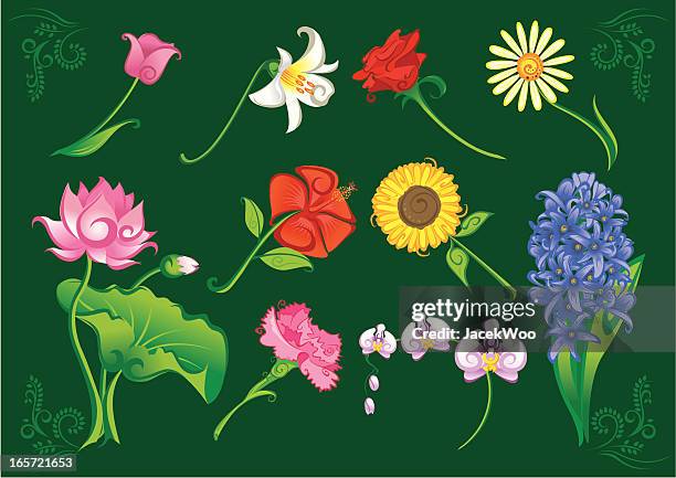 floral parade - lotuswurzel stock-grafiken, -clipart, -cartoons und -symbole