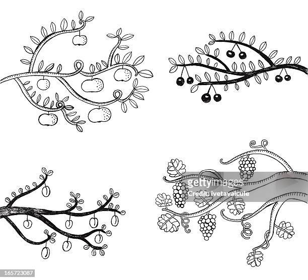 fruit tree - tendril stock illustrations