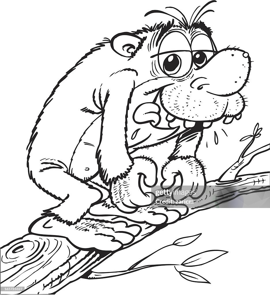 Tasmanian devil