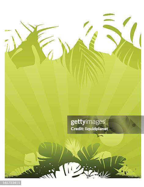tropical design - philodendron stock illustrations