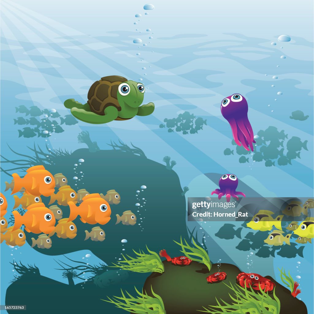 Life Aquatic - Reef