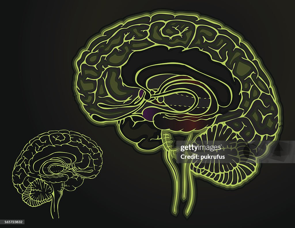 Dark Pattern Brain Brain Dark High-Res Vector Graphic - Getty Images