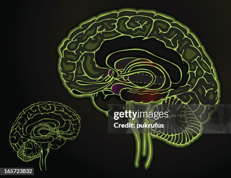 Brain - Dark Brain - Dark