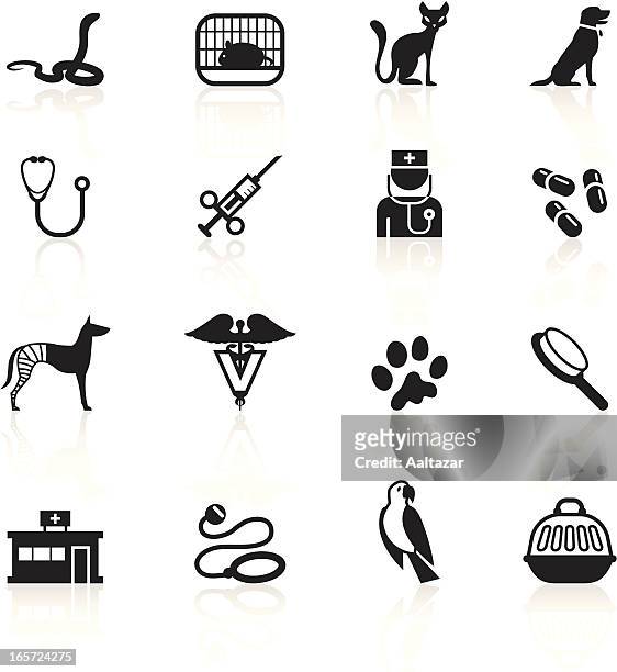 black symbols - veterinary - cat in box stock illustrations