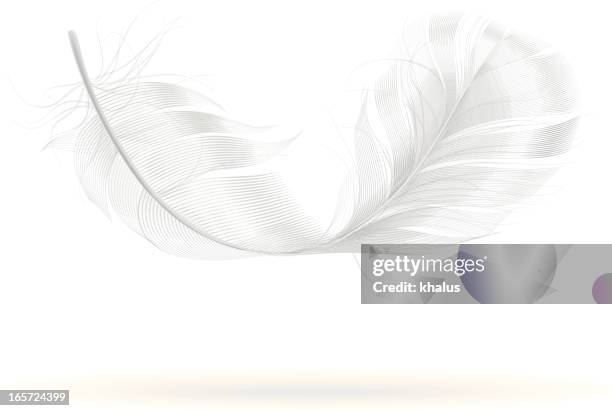 feder - feathers stock-grafiken, -clipart, -cartoons und -symbole