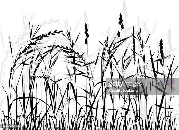 stockillustraties, clipart, cartoons en iconen met meadow silhouette - prairie