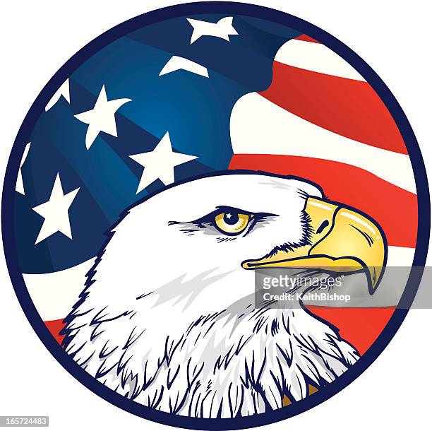 american eagle mit flagge hintergrund - bald eagle stock-grafiken, -clipart, -cartoons und -symbole