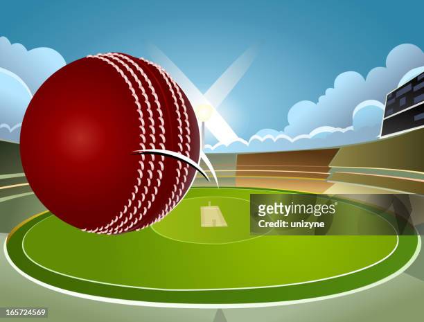 victory - cricket background - cricket stock illustrations