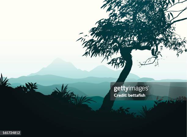 gebirge blue mountains - eukalyptusbaum stock-grafiken, -clipart, -cartoons und -symbole