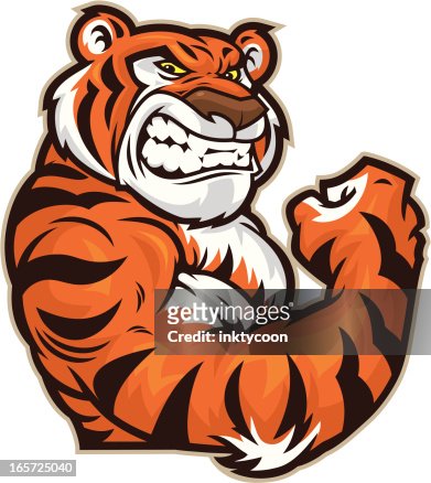 1,196 Tiger Cartoon High Res Illustrations - Getty Images
