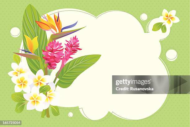 tropical background - banana leaf print stock illustrations