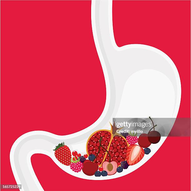 bildbanksillustrationer, clip art samt tecknat material och ikoner med red fruits, antiox, antiage - matsmältningsorgan