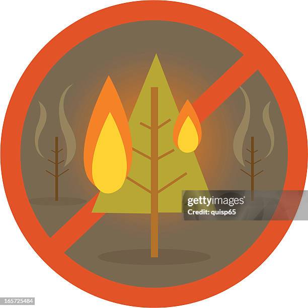 forest fire area - forest fire stock illustrations