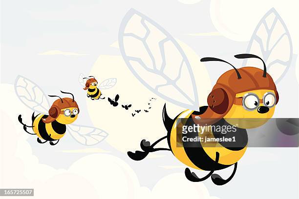 schwarm killerbienen - fliegermütze stock-grafiken, -clipart, -cartoons und -symbole